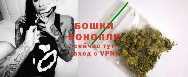 шишки Алексеевка