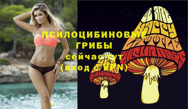гашик Осташков