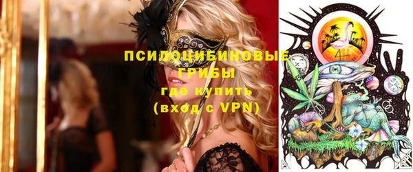 ПСИЛОЦИБИНОВЫЕ ГРИБЫ Алексин