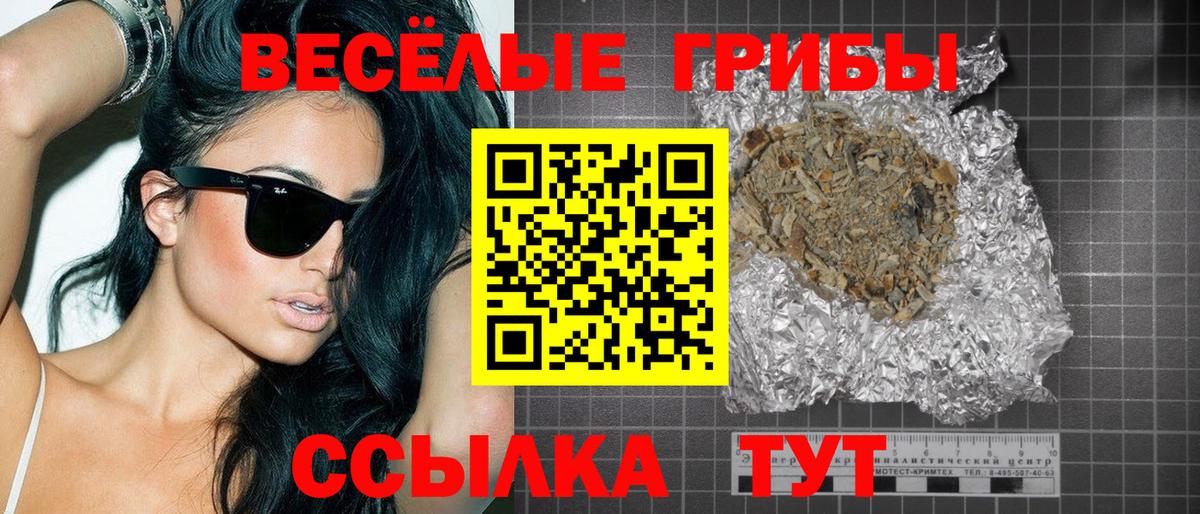 Псилоцибиновые грибы GOLDEN TEACHER  Вход с VPN  Псилоцибиновые грибы ЛСД  Элиста 