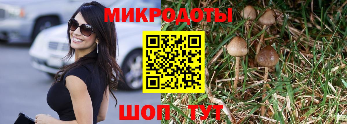 Псилоцибиновые грибы Magic Shrooms Элиста